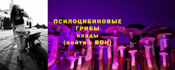 прущая мука Кодинск