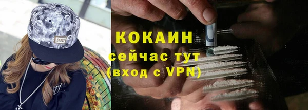 сатива Козельск