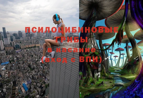 прущая мука Кодинск