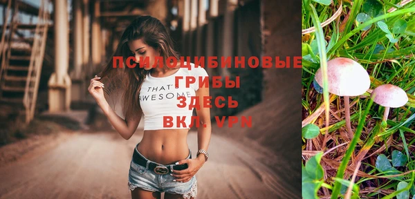 спиды Новокубанск