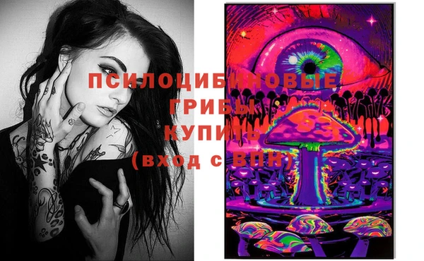 прущая мука Кодинск