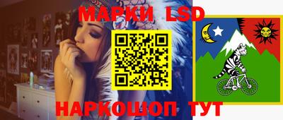 дживик Берёзовский