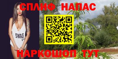 стафф Бузулук