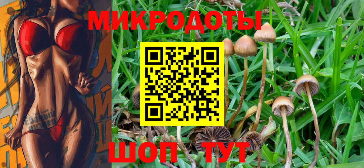 как найти наркотики  Волжский  Псилоцибиновые грибы GOLDEN TEACHER 