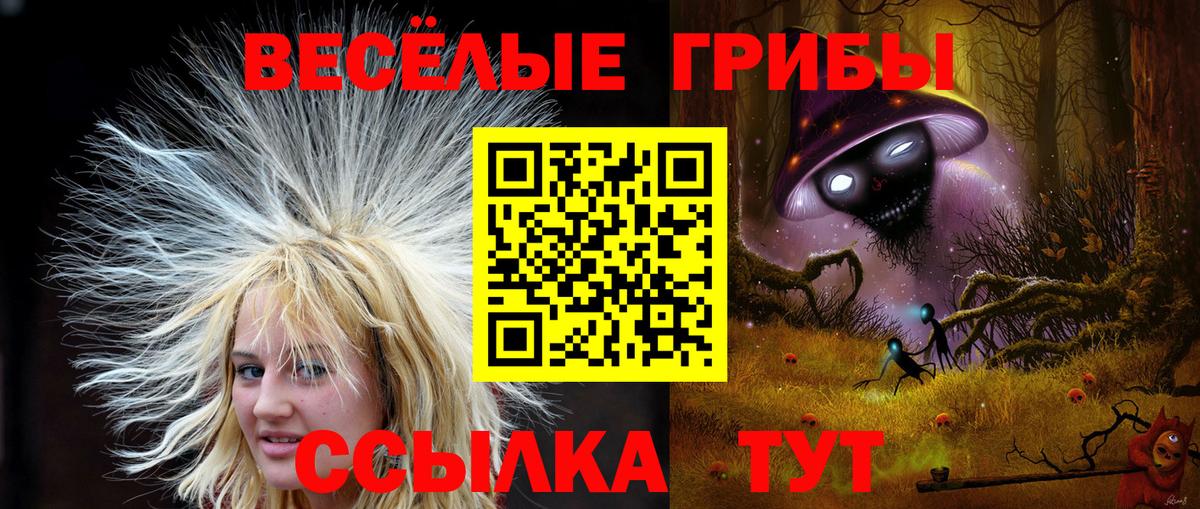 Галлюциногенные грибы Magic Shrooms Волжский