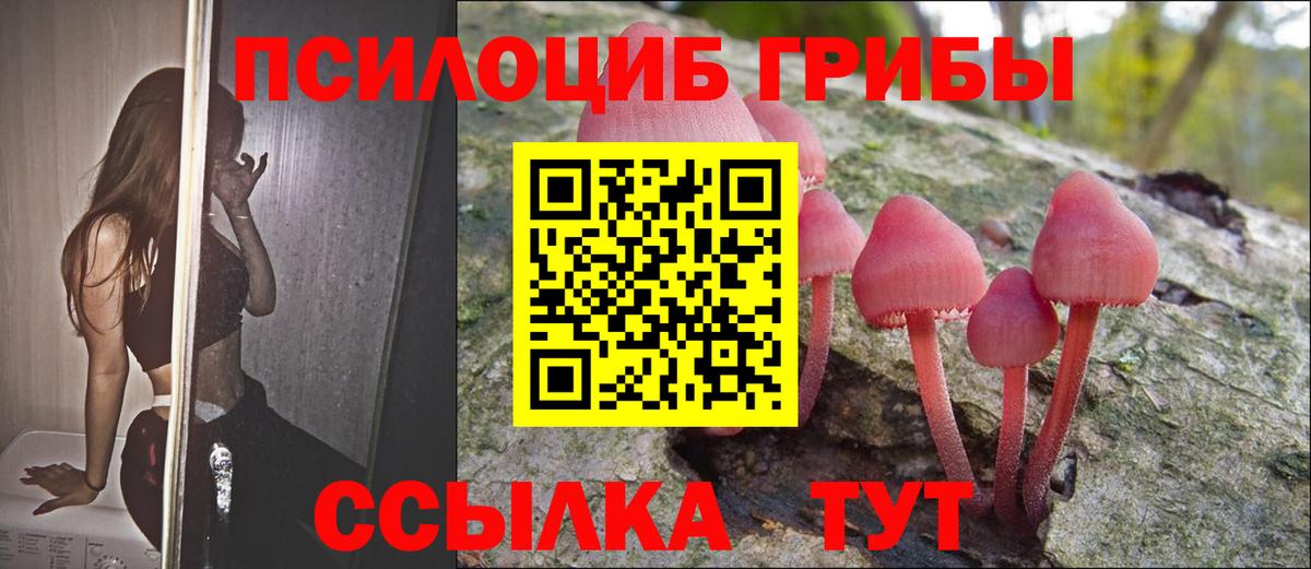 Псилоцибиновые грибы мицелий  Вход с VPN  наркотики  Волжский 